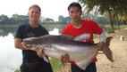 chiangmai fishing