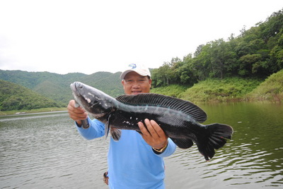 lure fishing tour chiang mai