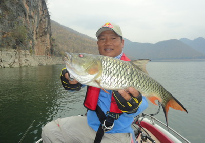 Jungle perch lure fishing south east Asia