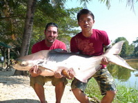 chiang mai fishing