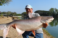 fishing guide chiang mai