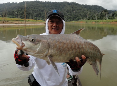 Thai mahseer fishing in cheowlan chiew lan suratthani