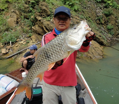 cheowlan lure fishing jungle perch