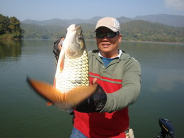 jungle perch chiang mai thailand
