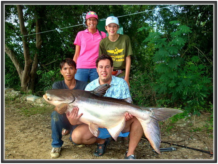 Mekong giant catfish thailand