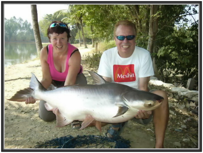 Giant catfish chiangmai