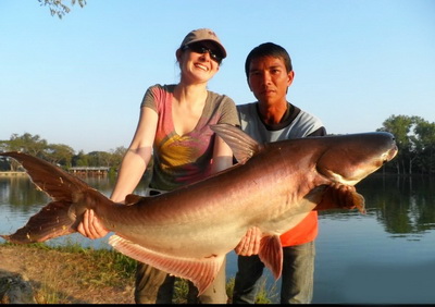 mekong giant catfish chiangmai