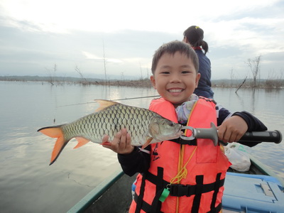 jungle perch thailand