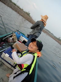 giant snakehead thailand