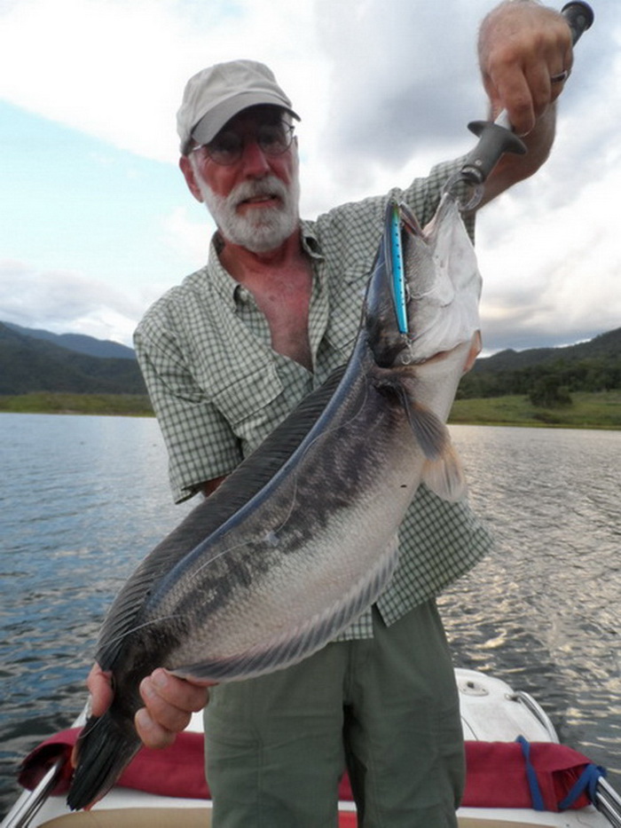 snakehead wild fishing thailand