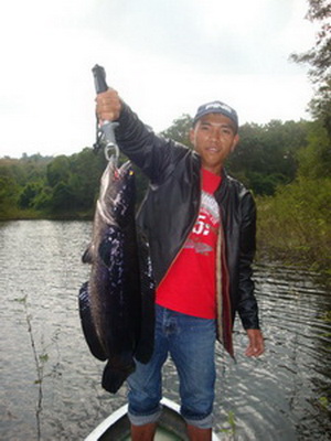 fishing chiangmai snakehead jungle lure fishing