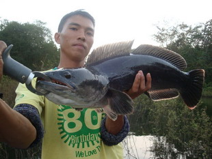 fishing in lampang at shado lake