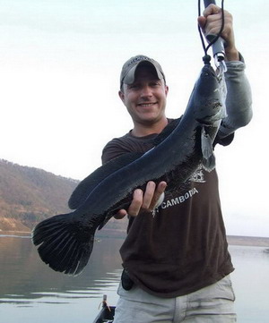 giant snakehead lure fishing in maekuang reservoir chiang mai