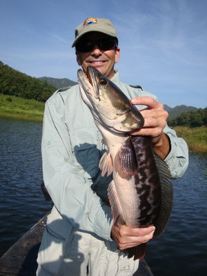 giant snakehead lure fishing in maekuang reservoir chiang mai
