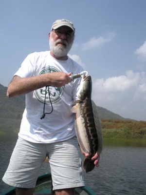 giant snakehead lure fishing chiang mai