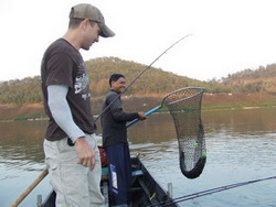 catching snakehead chiangmai