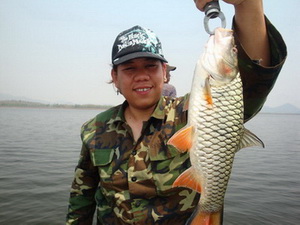 jungle perch lure fishing lampang