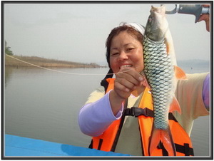 jungle perch lure fishing lampang
