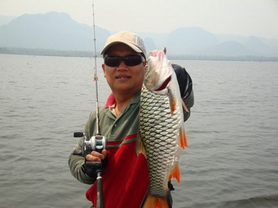 jungle perch lure fishing lampang