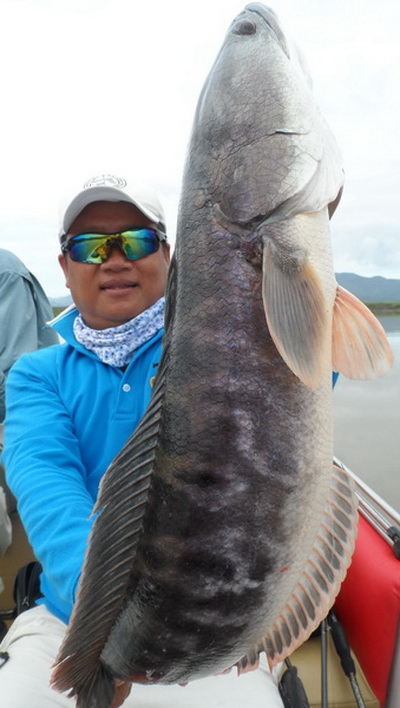 wild toman fishing thailand