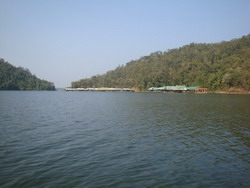Hampala macrolepidota 
