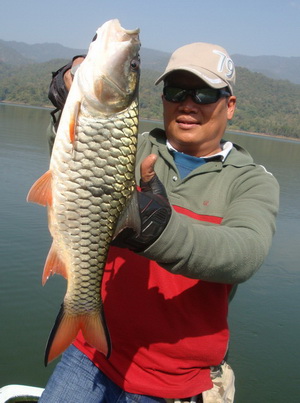 jungle perch thailand