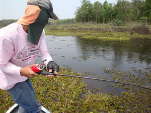 snakehead lure fishing Phayao