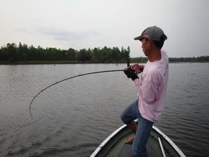 snakehead lure fishing in Mae peum lake Phayao