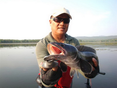 snakehead lure fishing Phayao