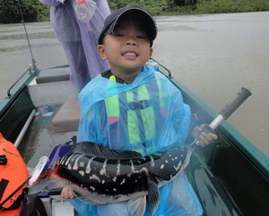 snakehead fishing lampang