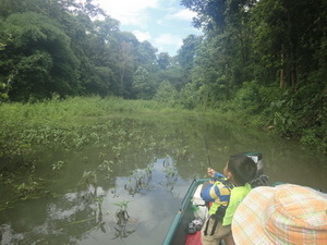 snakehead fishing lampang near chiang mai