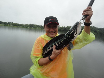 snakehead lure fishing lampang