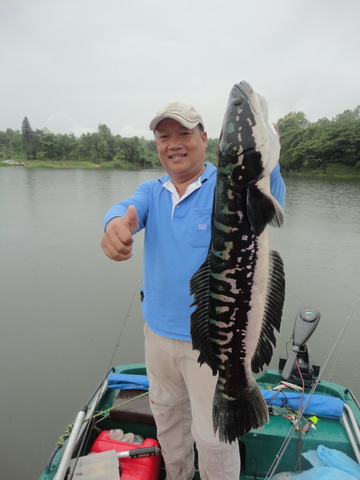 snake head fishing lampang