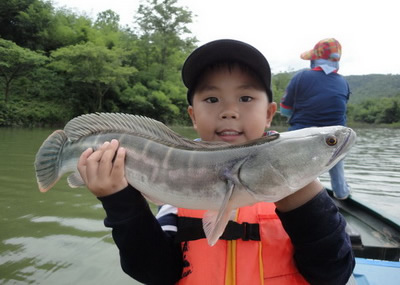 snakehead fishing lampang