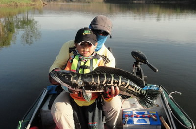 snakehead lure fishing lampang