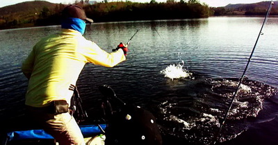 snakehead fishing lampang
