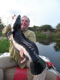 Toman fishing northern Thailand