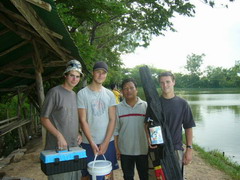 Giant mekong catfish chiangmai