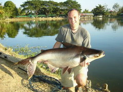 FISHING IN CHIANGMAI GIANT MEKONG CATFISH