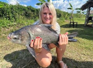 siamese carp